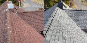 armorseal roofing and coating 2026 07 24T14 04 18.761789Z 019f9470 d1bc 7ccc bcf2 6e878abd8d6e